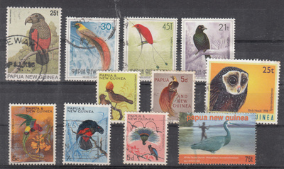 PAPUA-UUSI-GUINEA lintuaihetta