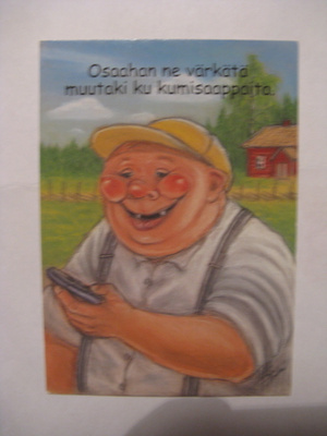 Peltoniemi: Osaahan ne värkätä...