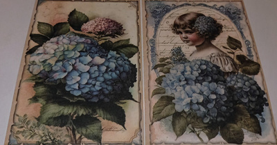 Korttikuvia HORTENSIA / 2 kpl -setti / A6