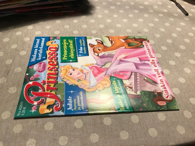 PRINSESSA LEHTI 4/2011 HYVÄ