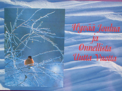 Punatulkku huurteisella oksalla