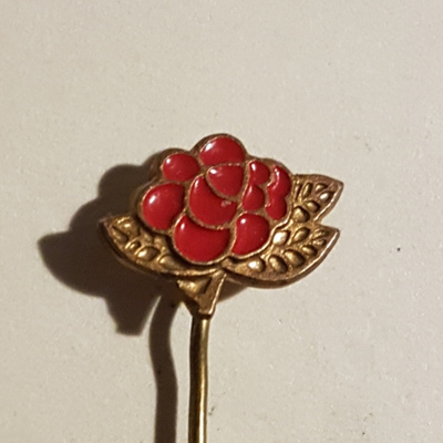 SDP 1981 NEULAMERKKI