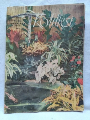 Kotiliesi N:o 19 1950 lokakuu