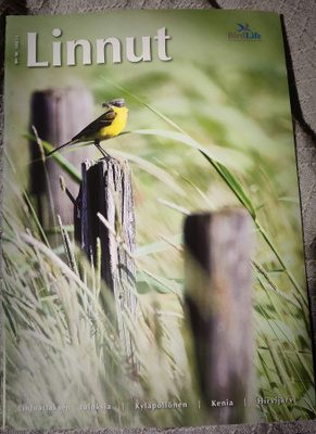 LINNUT - lehti 3/2011 BirdLife