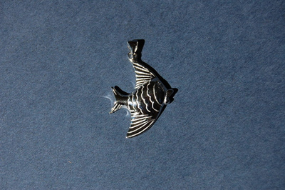 Hopeinen kalariipus