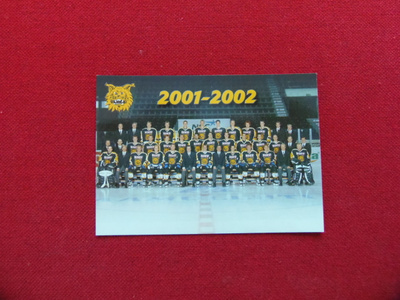 ILVES 2001-2002