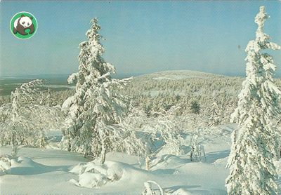 SUOMI - FINLAND : Talvimaisema. Ei kulk.