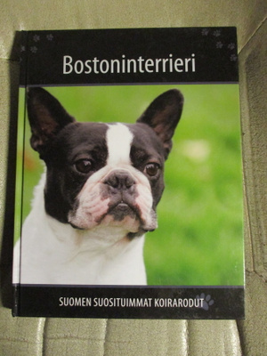Bostoninterrieri