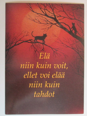 KULKEMATON ELÄ NIINKUIN VOIT ELLET VOI ELÄÄ NIIN KUIN TAHDOT