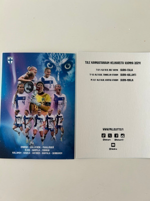 Suomen naisten jalkapallomaajoukkue 2024
