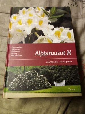 VÄINÖLÄ : ALPPIRUUSUT ( SIS POSTIKULU  )