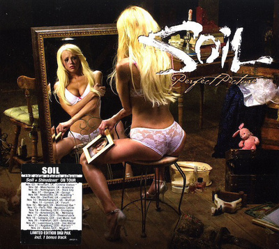 Soil (CD+1) Picture Perfect