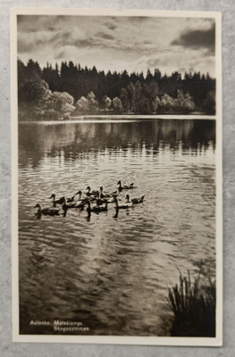 Hämeenlinna, Aulanko