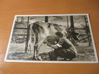 Lotta lypsyllä kp - 1942