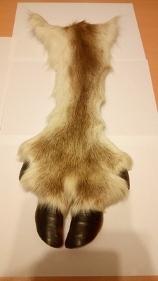 Poronkäpälä
