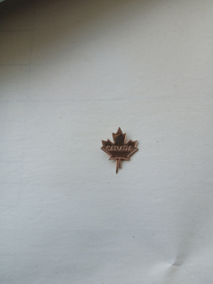 Canada pinssi