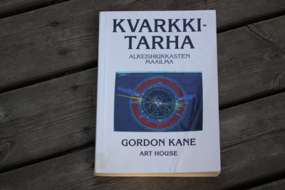 Gordon Kane Kvarkkitarha A1