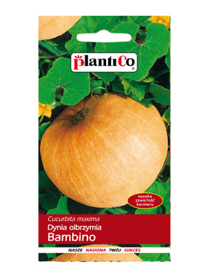 Kurpitsansiemenet Bambino HUOM PÄiVÄYS! Ale -30%#