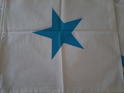Sisustustyyny 45x45cm