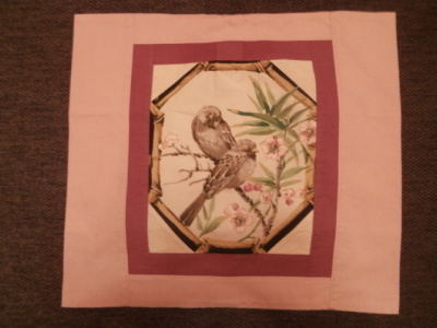 TYYNYNPÄÄLLINEN  23.  LINNUT OKSALLA 2.