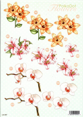 STANSSATTU 3D °°ORKIDEANKUKAT & LILJAT°° /Polka Dot FLOWERS