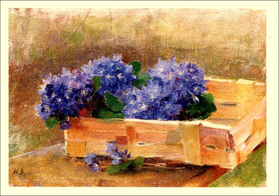 Helene Schjerfbeck, Sinivuokkoja pärekorissa