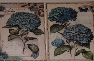 Korttikuvia HORTENSIA / 2 kpl -setti / A6