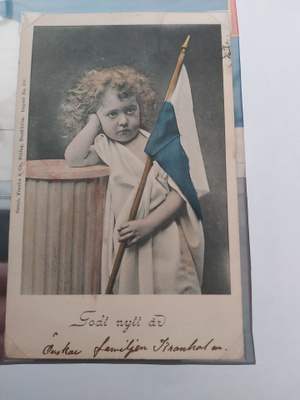 Lippu postikortti