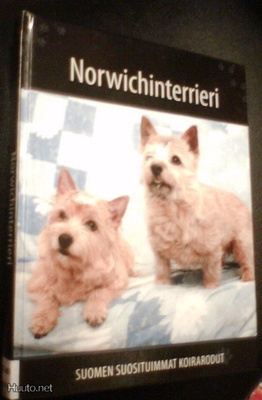 NORWICHINTERRIERI (Suomen suosituimmat koirarodut) Sis.pk:t