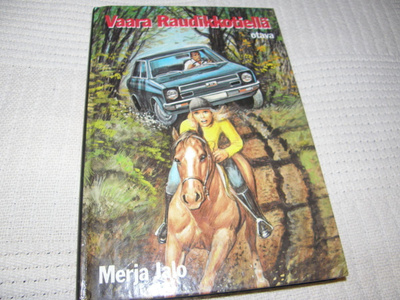 Merja Jalo Vaara Raudikkotiellä