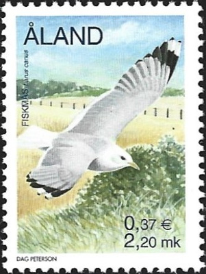 Åland 2000  Lintuja Kalalokki  2,20 mk ** LaPe 169