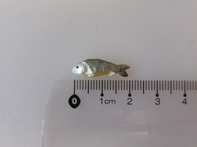 Nukkekoti, miniatyyri kala