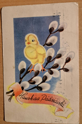tipu pajunoksalla, kulkenut 1945
