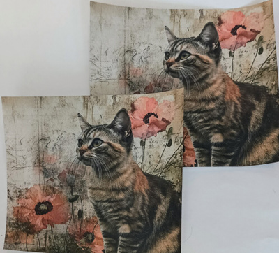 Kuviopaperit KISSAT / 2 kpl -setti / 15 x 15 cm