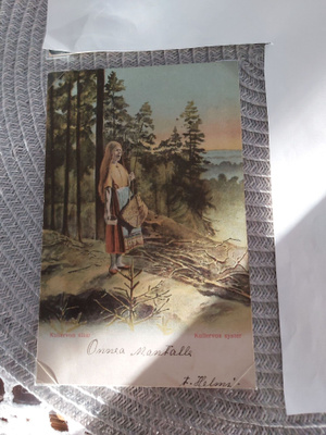 Kalevala Kalervon sisar