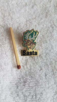 SASTA Pinssi
