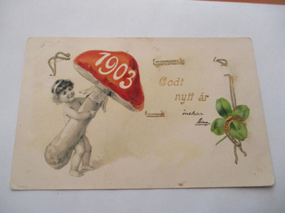 Vuosikortti - 1903