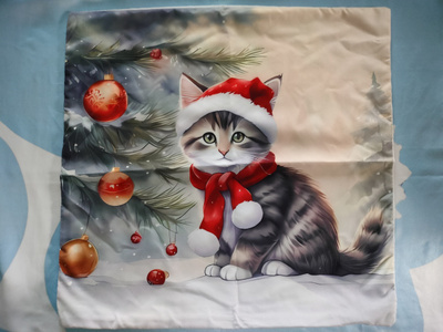 ~Koristetyynynpäällinen~ kissa