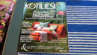 KOTILIESI NRO 17 6.9.2011