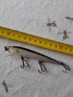 rapala floatin