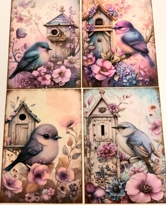 Korttikuvat LINNUT / 4 kpl -setti / A6