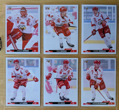 2023-24 Cardset Series 2 Sport Team Set 12 korttia (313-324)