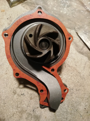 VW
