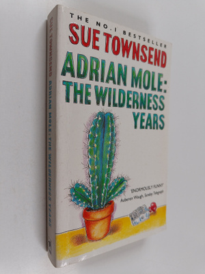 Sue Townsend : Adrian Mole : the wilderness years