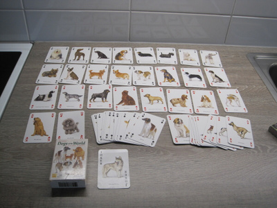 KOIRA PELIKORTIT, The famous dogs of the world