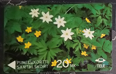 Puhelukortti  20 mk