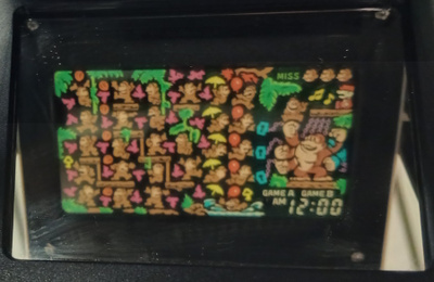 Donkey Kong Jr. (Panorama Screen)