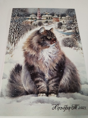 Kissa kortti,kulkematon.