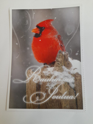 Rauhallista joulua!! Punainen lintu
