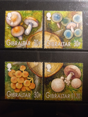 SIENET sieniaiheinen sarja GIBRALTAR 2003 **